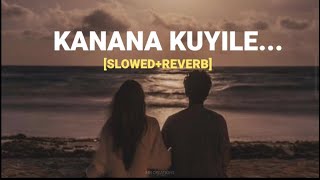 kanana kuyile kathilidanoru malayalam song slowedreverb malayalam [upl. by Airetak353]