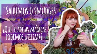 Crea Tus Propios Sahumerios Mágicos Rituales y Hierbas Poderosas para Purificar Tu Hogar ✨🔥 [upl. by Casavant]