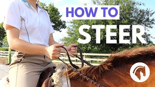 How To Steer a Horse STEPBYSTEP GUIDE [upl. by Hajin25]