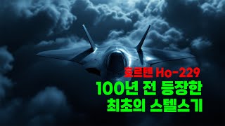 100년 전 등장한 세계 최초의 스텔스기 [upl. by Sairacaz]