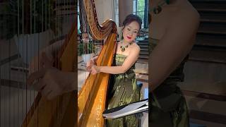 “You’re My World” Cilla Black Harp cover by TongJuan Wang harp music cover shots [upl. by Hanschen782]