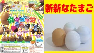 斬新なガチャガチャ タマゴッコ 1回100円のユニークなたまごガチャです！ [upl. by Kecaj]