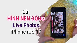 Cách cài hình nền động Live cho iPhone iOS 17  Sửa lỗi [upl. by Redman]