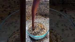 Yes you can air fry granola 🥣 granola recipe [upl. by Phelps]