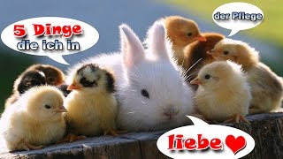 5 Dinge die ich in der Pflege liebe [upl. by Venice]