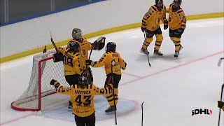 Djurgården Hockey vs Skellefteå AIK  Game Highlights [upl. by Lartnom]