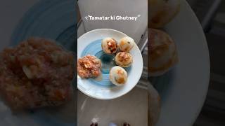 Spicy Tomato Chutney  Quick recipe shorts spicy [upl. by Elagibba]