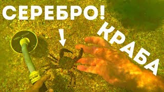 НАШЁЛ 4 КОЛЬЦА ПОДВОДНЫЙ КОП КРАБ ОХРАНЯЛ СЕРЕБРО FOUND 4 RINGS UNDERWATER COPY [upl. by Cahra]