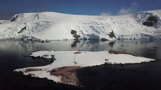 South Georgia amp Antarctica on MS Island Sky [upl. by Jannelle996]