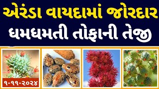 એરંડા વાયદામાં જોરદાર ધમધમતી તોફાની તેજી l Arenda na bhav l Patan marketing yard l commodity trade [upl. by Berliner]