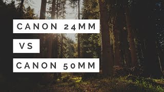 Canon 50mm STM vs Canon 24mm STM  WORTH Buying BOTH [upl. by Nelag]