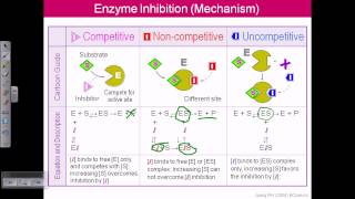 Enzyme inhibition [upl. by Mcgaw136]