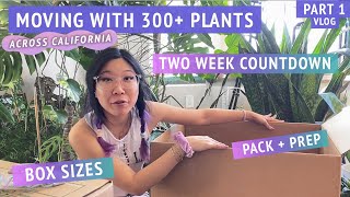 Preparing  packing houseplants gathering boxes planning  MOVING MY 300 PLANT COLLECTION part 1 [upl. by Arracahs]