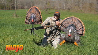 Experience Turkey Hunting Like Never Before  MOJO Tail Chaser Max Turkey Decoy [upl. by Barboza209]