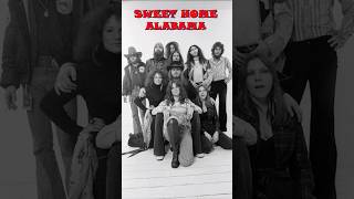 What was the story behind Sweet Home Alabama by Lynyrd Skynyrd [upl. by Eelrebma]