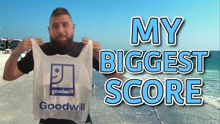 My Biggest Goodwill Video Game Haul [upl. by Goth544]