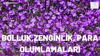 BOLLUK ZENGİNLİK PARA OLUMLAMALARI  Zihninizde Yeni İnanç Kalıpları Oluşturun ❗olumlama [upl. by Funch]