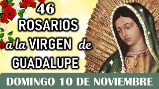 46 Rosarios a la Santísima Virgen de Guadalupe Domingo 10 de Noviembre Dia 14 💐Misterios Gloriosos [upl. by Shien879]