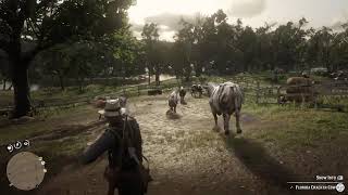 Can you ride a cowbull in red dead redemption 2 [upl. by Dikmen23]