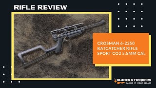 Crosman 2250 Ratcatcher Rifle Review [upl. by Airbmat]