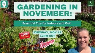 Gardening in November Essential Tips for Indoors and Out [upl. by Victorie]