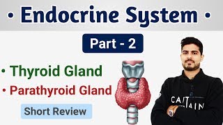 Thyroid Gland  Parathyroid Gland and its Disorders Short Review [upl. by Keviv]