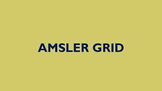 How to interpret an amslers grid [upl. by Maxwell]