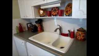 Small Kitchen Organization Countertops [upl. by Erbma]