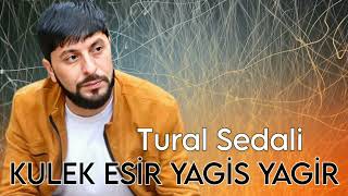 Tural Sedali  Kulek Esir Yagis Yagir  Official Music [upl. by Imailiv]