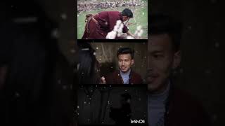 Tsesnon ladakh song 2024New ladakhi song short video ladakhshorts newsong ladakhmusic inshot [upl. by Klarika899]