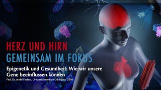 Epigenetik und Gesundheit Wie wir unsere Gene beeinflussen können  Prof Dr André Fischer [upl. by Ecirtap]