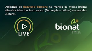 Live Bionat  Aplicação de Beauveria bassiana no manejo da mosca branca e ácaro rajado [upl. by Marquita558]