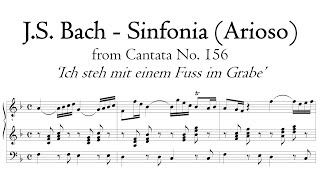 Bach  Arioso Sinfonia from Cantata BWV 156 organ transcription  Metzler organ Poblet [upl. by Seften551]