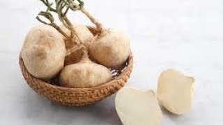 Bengkoang also known as jicama has several health benefits [upl. by Freyah]