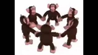 Monkeys spinning low quality 1 hour [upl. by Schinica]