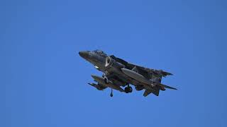 Harriers at SLC [upl. by Aehsal]