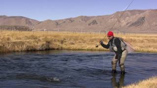 Eastern Sierra Winter Fly Fishing [upl. by Stringer]