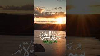 Surah Baqarah Ayat 139 shorts [upl. by Myo]