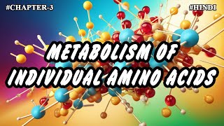 Chapter  3  Metabolism Of Individual Amino Acids Part3  Hindi [upl. by Ostraw]