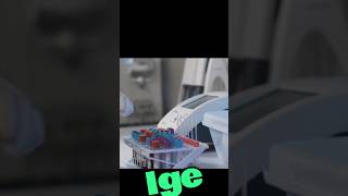 what is IGE immunoglobulin E IGE [upl. by Ttoile614]