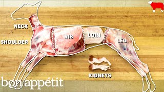 How to Butcher an Entire Lamb Every Cut of Meat Explained  Handcrafted  Bon Appetit [upl. by Neret102]