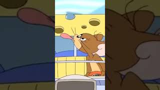 Tom amp jerry car racing [upl. by Latsyrcal]