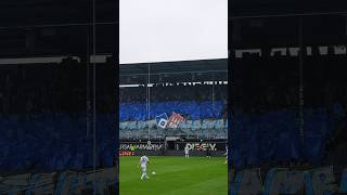 HSV Choreo in Elversberg 🏟️📢 hsv hamburg hamburgersv ultras fans fußball shorts stadion [upl. by Littlejohn]