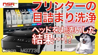 【キャノンプリンター】 プリンターの目詰まりを解消！丸洗い洗浄方法【ヘッド丸洗い・わかりやすく説明】 [upl. by Gnad606]