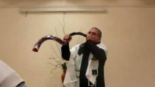 Shofar So Great Sounds Taps [upl. by Annodas950]