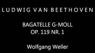 Beethoven Bagatelle gMoll op 119 Nr 1 Wolfgang Weller 2013 [upl. by Nylidnarb]