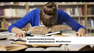 Examentraining Economie Samenvatting Domein H  22 Wisselkoersen [upl. by Lindie]