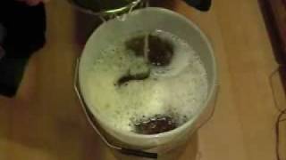 How to Brew Beer or Lager at Home from a Kit [upl. by Luciano]