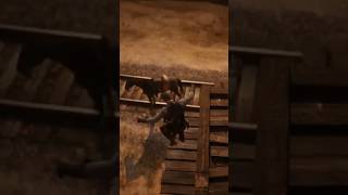 This is how you mount your horse rdr2 [upl. by Gratt445]