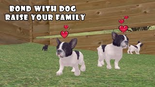 Ultimate Dog Simulator by Gluten Free Games  Part 5  Android Gameplay HD [upl. by Jeggar]